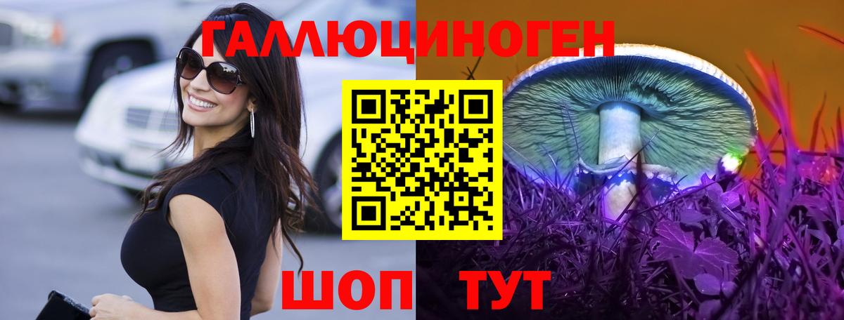 Гулькевичи  Псилоцибиновые грибы Psilocybe  Вход с VPN 