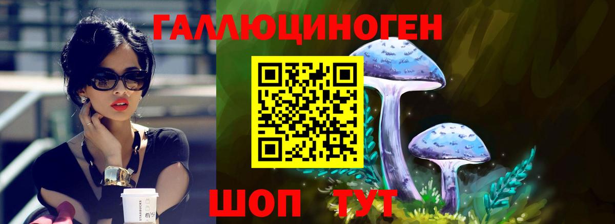 Галлюциногенные грибы MAGIC MUSHROOMS Гулькевичи